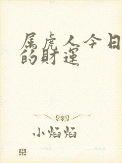 属虎人今日打牌的财运封面