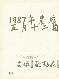 1987年农历五月十二日出生的人命运封面