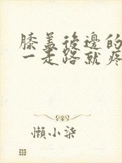 膝盖后边的腿窝一走路就疼封面