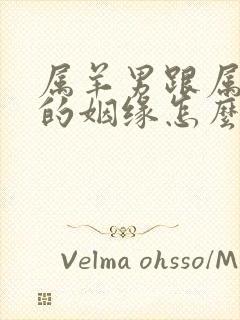 属羊男跟属龙女的姻缘怎么样