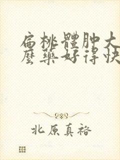 扁桃体肿大吃什么药好得快