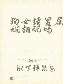 狗女猪男属相婚姻相配吗