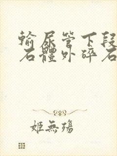 输尿管下段 结石体外碎石