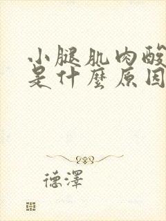 小腿肌肉酸胀痛是什么原因封面