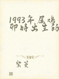 1993年属鸡卯时出生的人命运