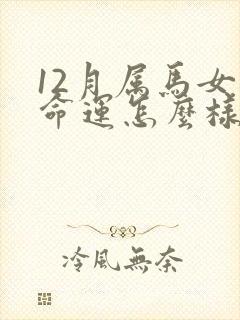 12月属马女的命运怎么样