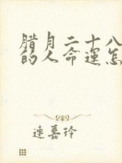 腊月二十八出生的人命运怎么样