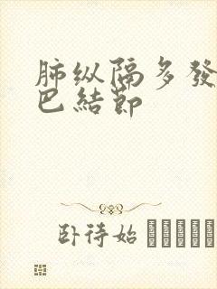 肺纵隔多发小淋巴结节封面