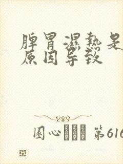 脾胃湿热是什么原因导致