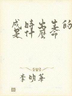 戌时出生的男孩是什么命