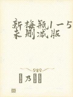新梅瓶1一5集未删减版