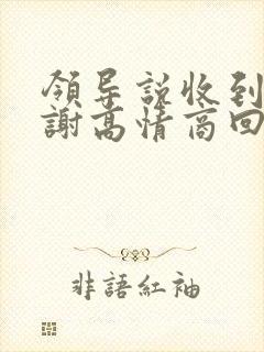 领导说收到了谢谢高情商回复