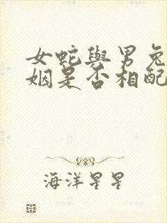 女蛇与男兔的婚姻是否相配