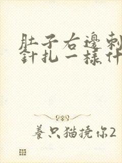 肚子右边刺痛像针扎一样什么原因