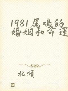 1981属鸡的婚姻和命运女