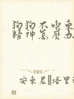 狗狗不吃东西没精神怎么办瘦的很快