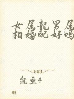 女属龙男属兔属相婚配好吗