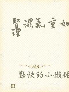 肾湿气重如何调理封面