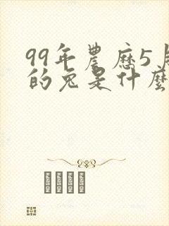 99年农历5月的兔是什么命