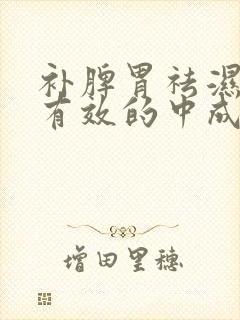 补脾胃祛湿气最有效的中成药