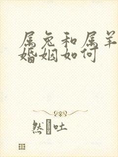 属兔和属羊相配婚姻如何封面