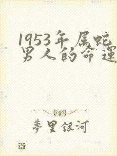 1953年属蛇男人的命运