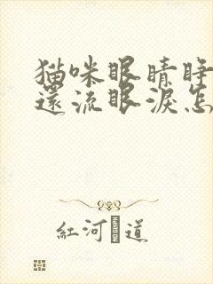 猫咪眼睛睁不开还流眼泪怎么回事