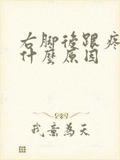 右脚后跟疼麻是什么原因