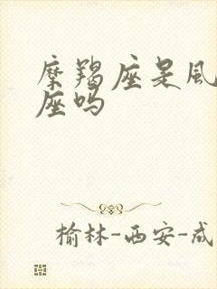 摩羯座是风象星座吗封面