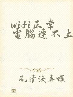 wifi正常 电脑连不上网