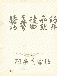 膝盖后面的腿窝筋弯曲就疼怎么回事