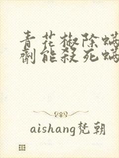 青花椒除螨喷雾剂能杀死螨虫吗?