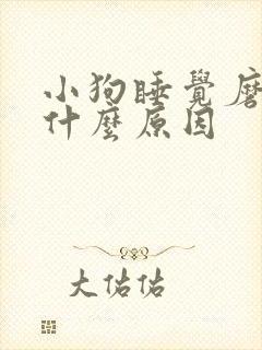 小狗睡觉磨牙是什么原因封面