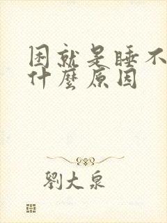 困就是睡不着是什么原因封面