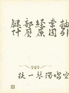 腿部经常抽筋是什么原因引起的封面