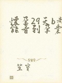 怀孕29天b超能看到孕囊吗