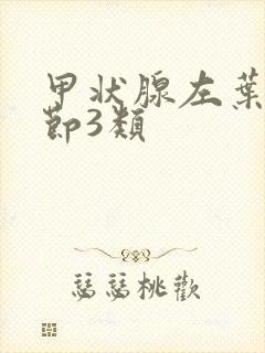 甲状腺左叶小结节3类