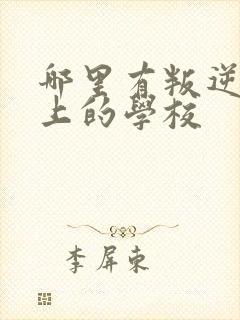 哪里有叛逆孩子上的学校封面