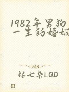 1982年男狗一生的婚姻和命运