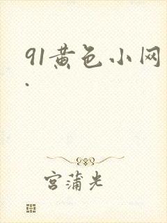 91黄色小网站.