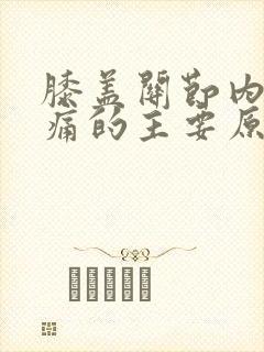 膝盖关节内侧疼痛的主要原因封面