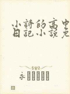 小诗的高中成长日记小说免费阅读