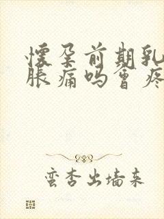 怀孕前期乳房会胀痛吗会疼吗封面