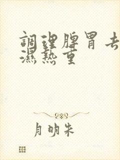 调理脾胃去湿气湿热重