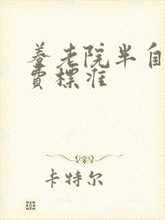 养老院半自理收费标准封面