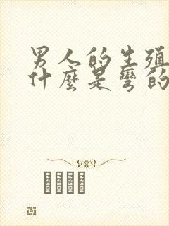 男人的生殖器为什么是弯的