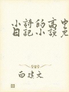 小诗的高中成长日记小说免费阅读