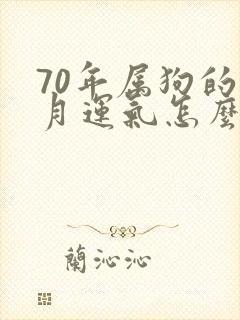 70年属狗的五月运气怎么样