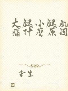 大腿小腿肌肉疼痛什么原因引起的