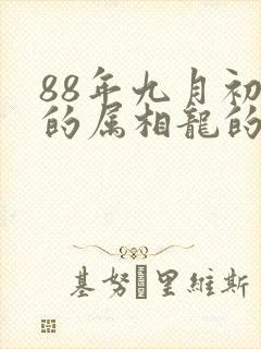 88年九月初九的属相龙的命运